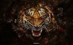 The-revenge---tiger-wallpaper_1280x800